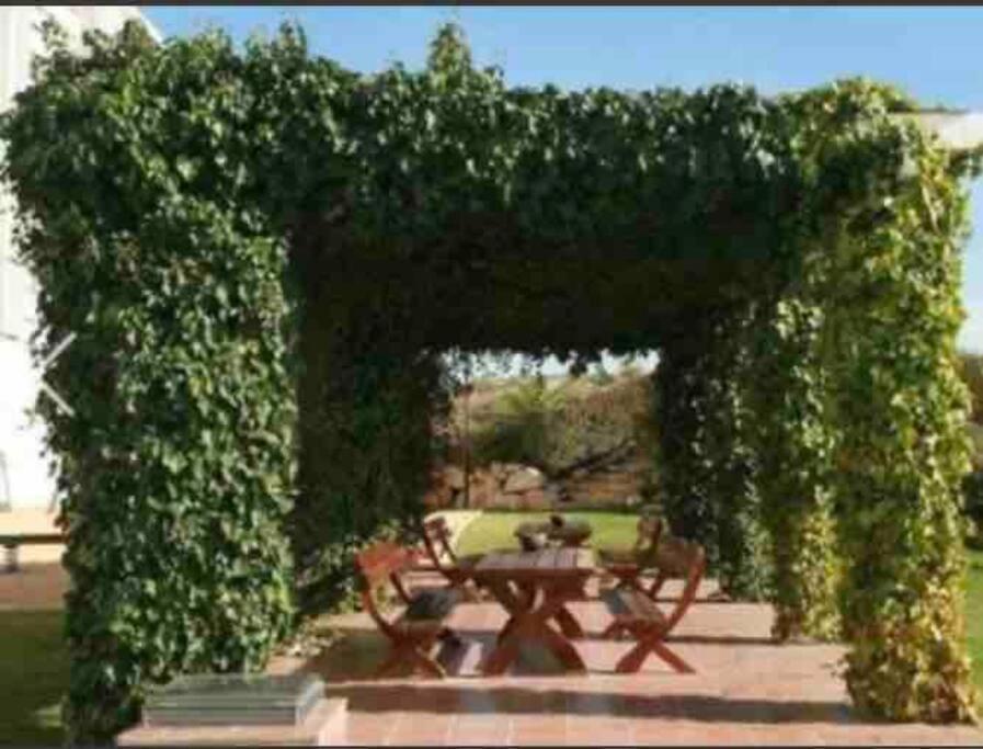 ויאחויוסה Top-Floor Beachfront Apartment With Parking, Pool, & Spacious Sea-View Balcony מראה חיצוני תמונה